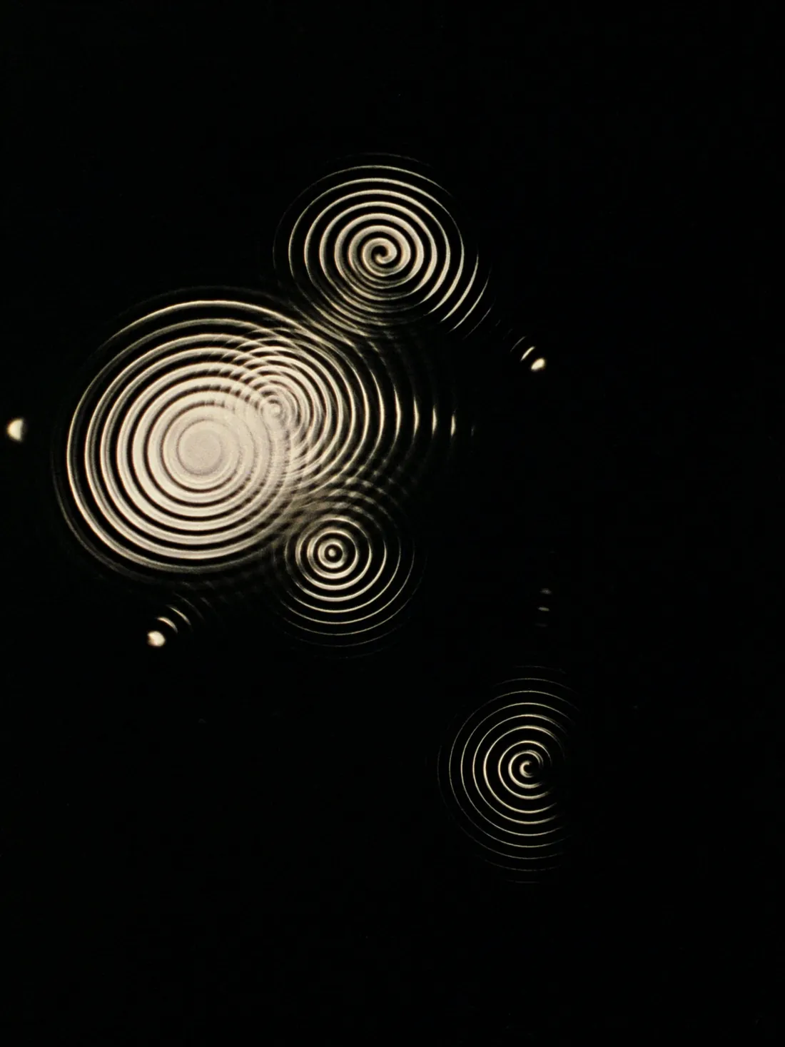 Propagaci&oacute;n